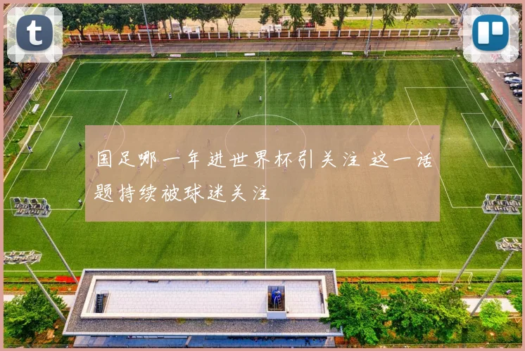 国足哪一年进世界杯引关注 这一话题持续被球迷关注