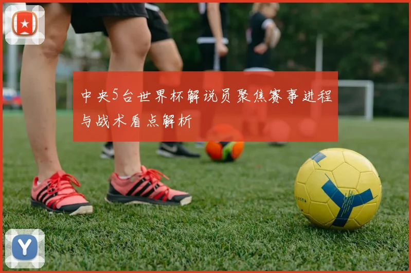 中央5台世界杯解说员聚焦赛事进程与战术看点解析
