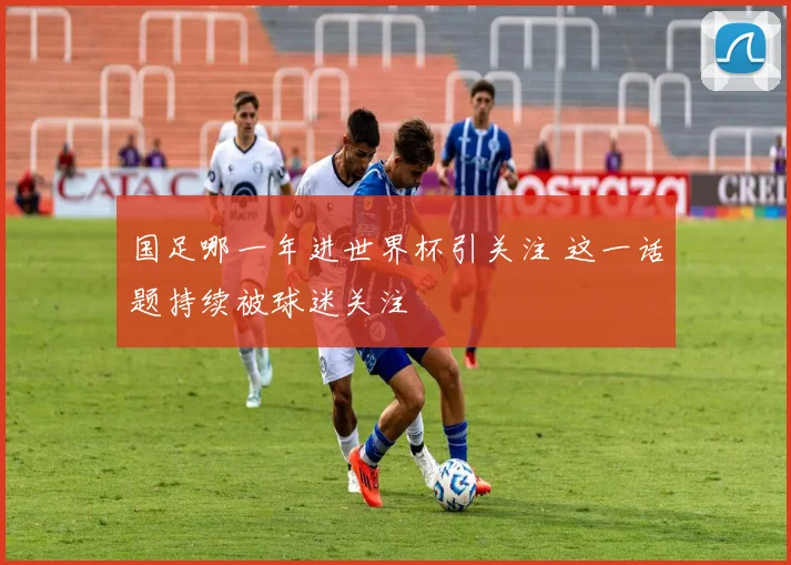 国足哪一年进世界杯引关注 这一话题持续被球迷关注
